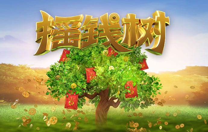 55世纪官网首页