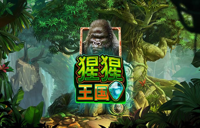 必一运动体育官网